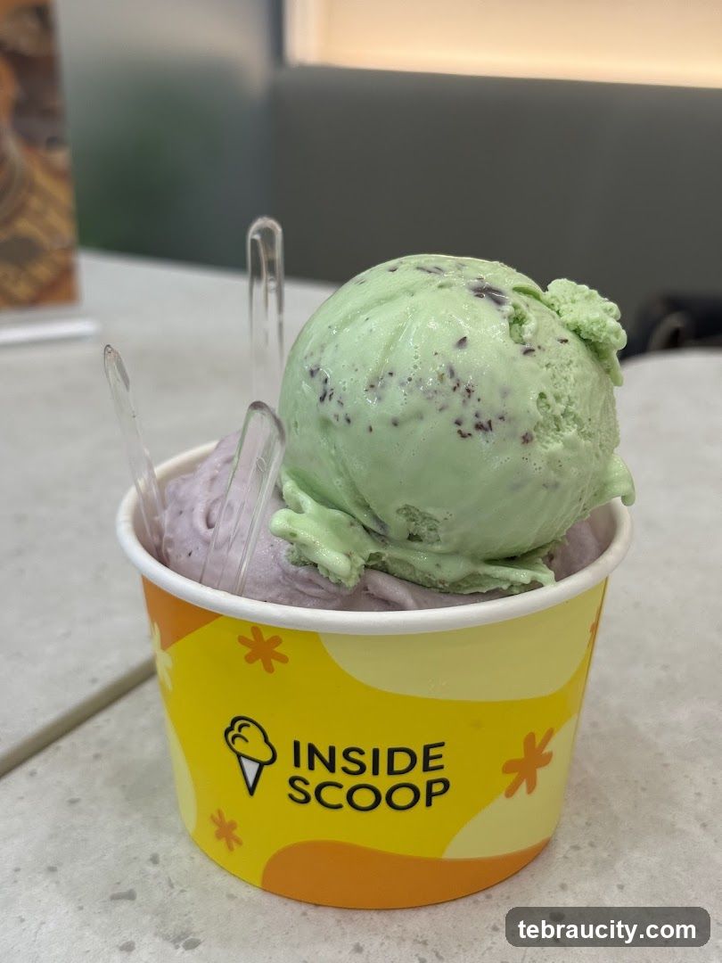 Ice Cream Cup