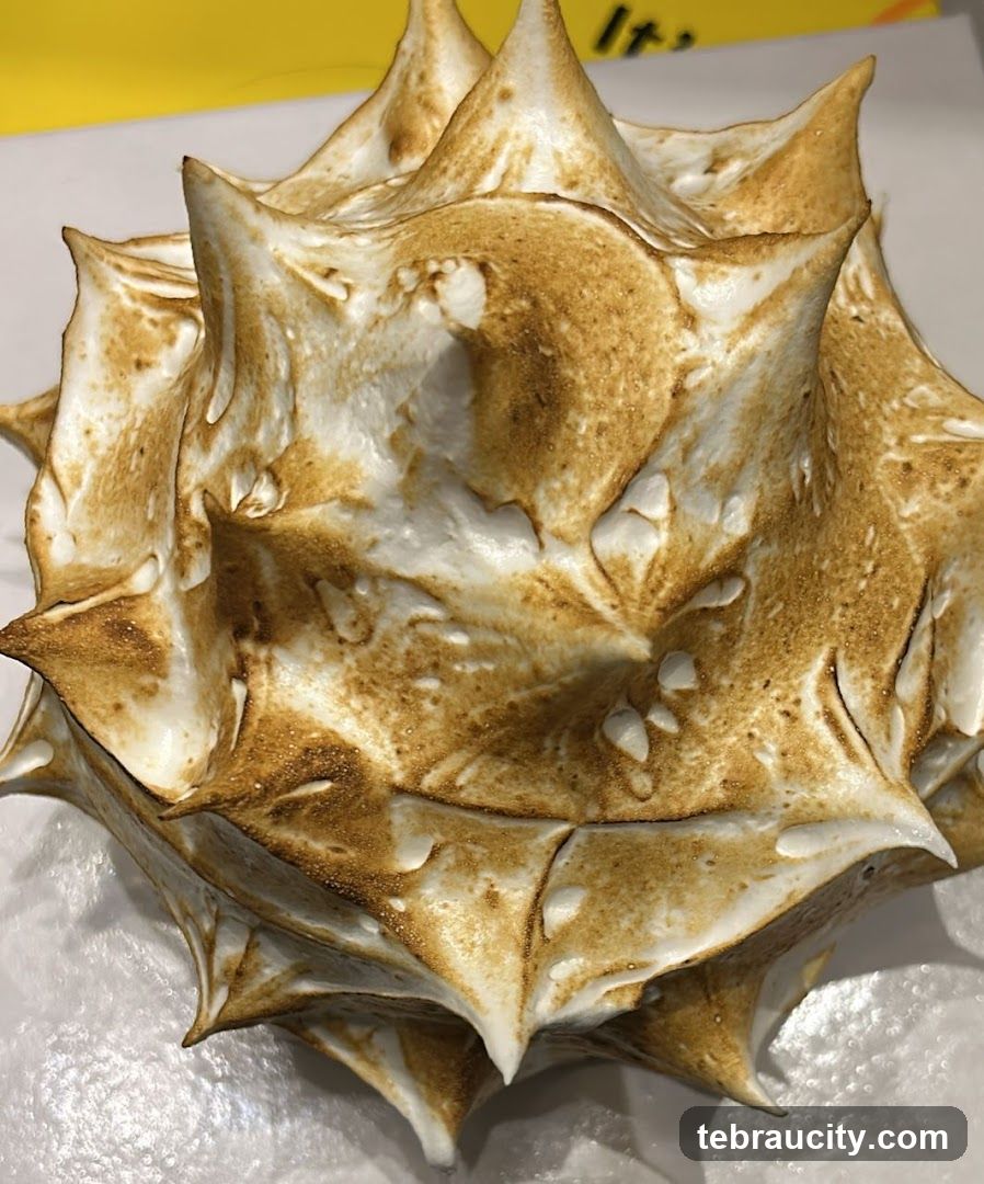 Dessert with Torched Meringue