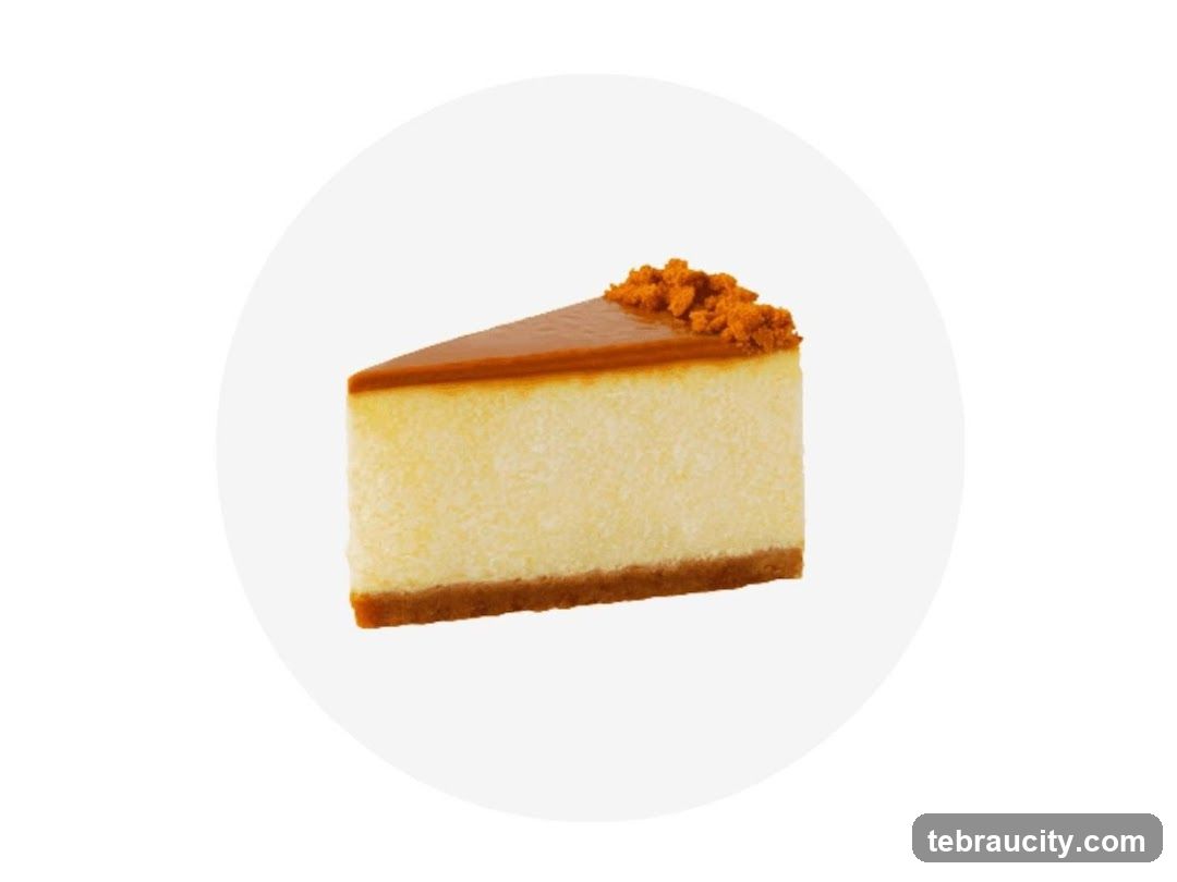 Cheesecake Slice