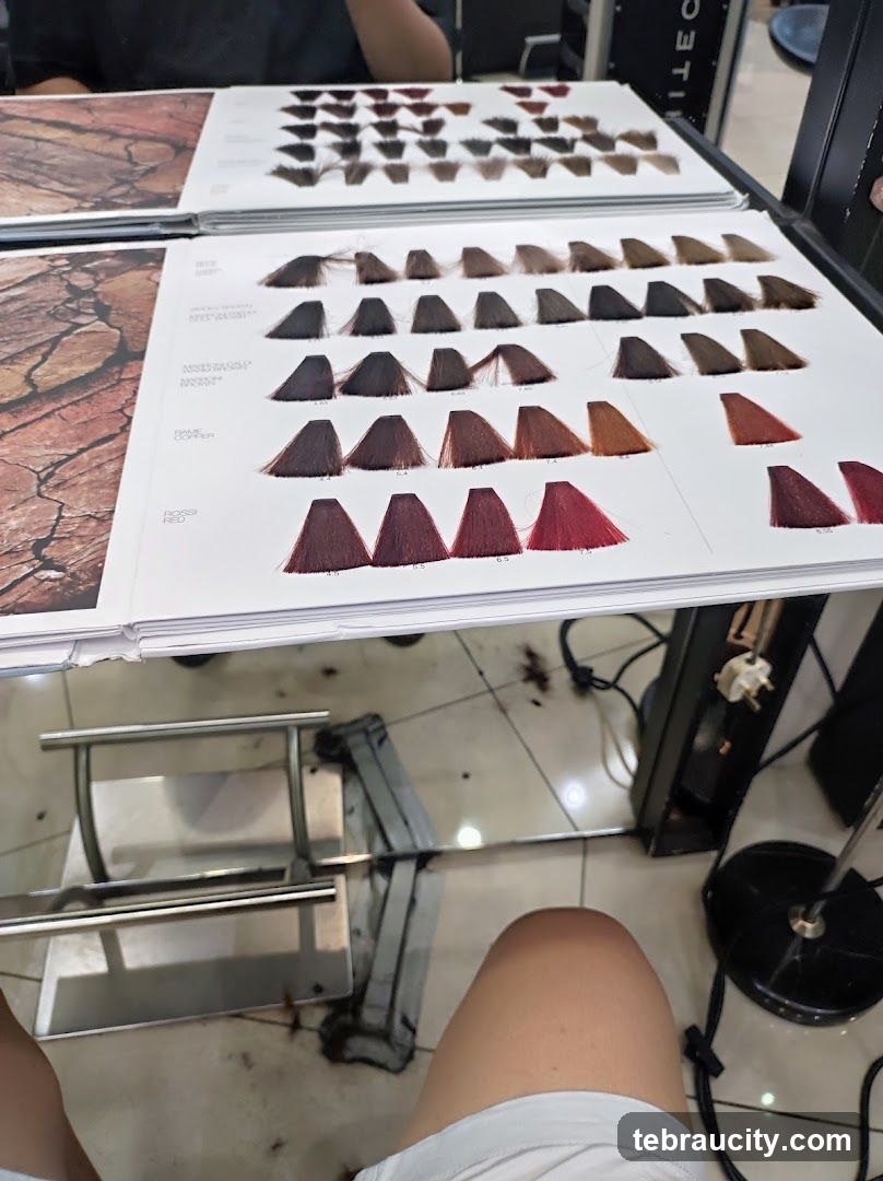 Hair Color Swatch Book