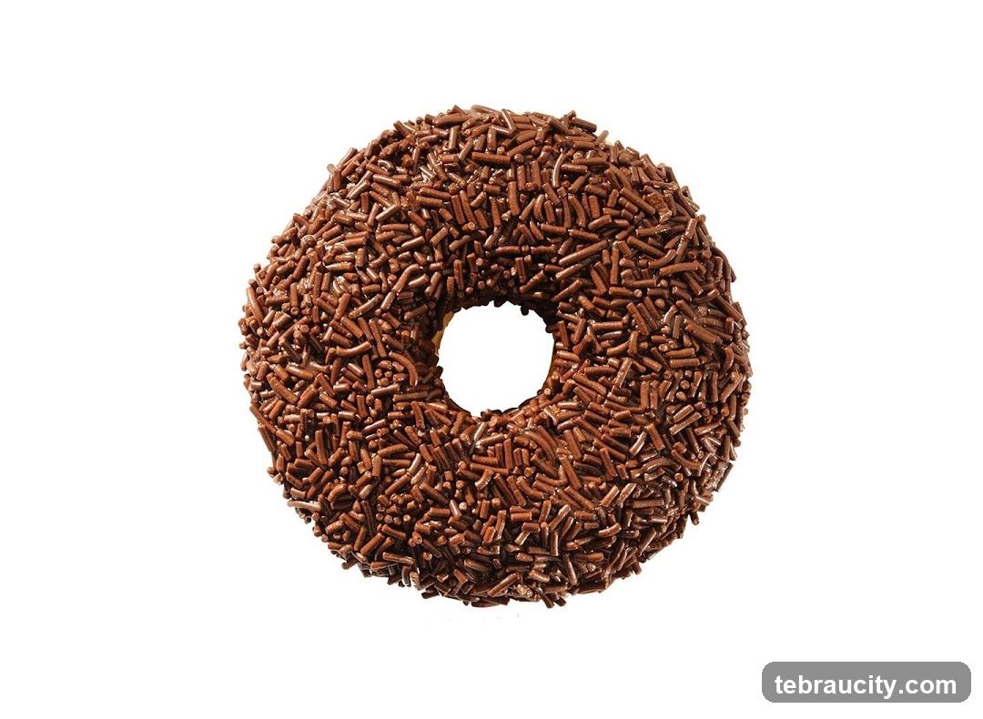 Chocolate Sprinkled Donut