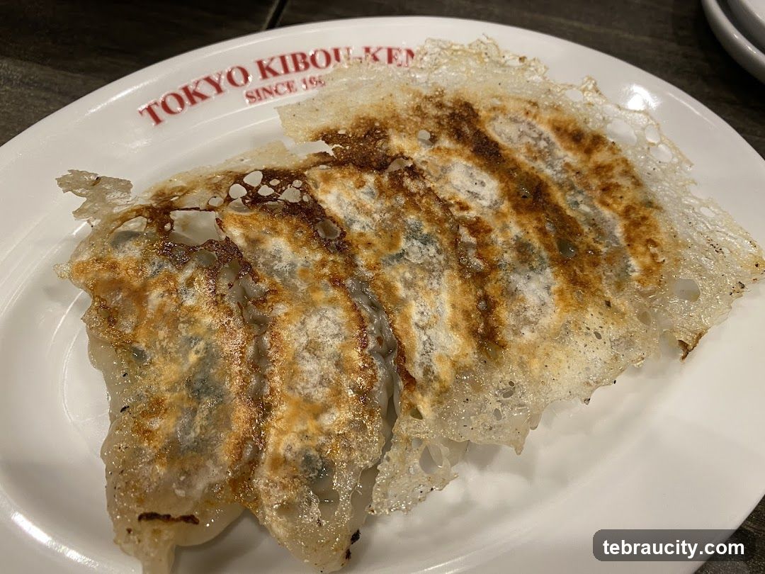 Pan-fried dumplings on a plate