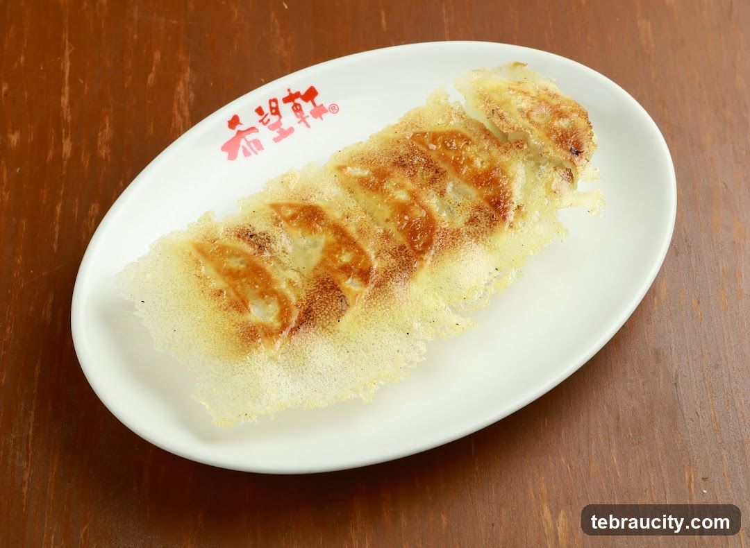 Pan-fried dumplings