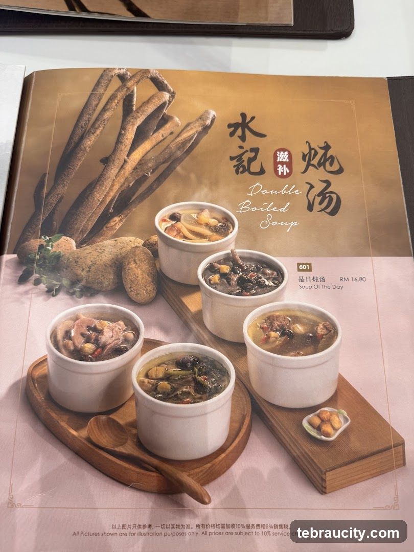 Double Boiled Soup