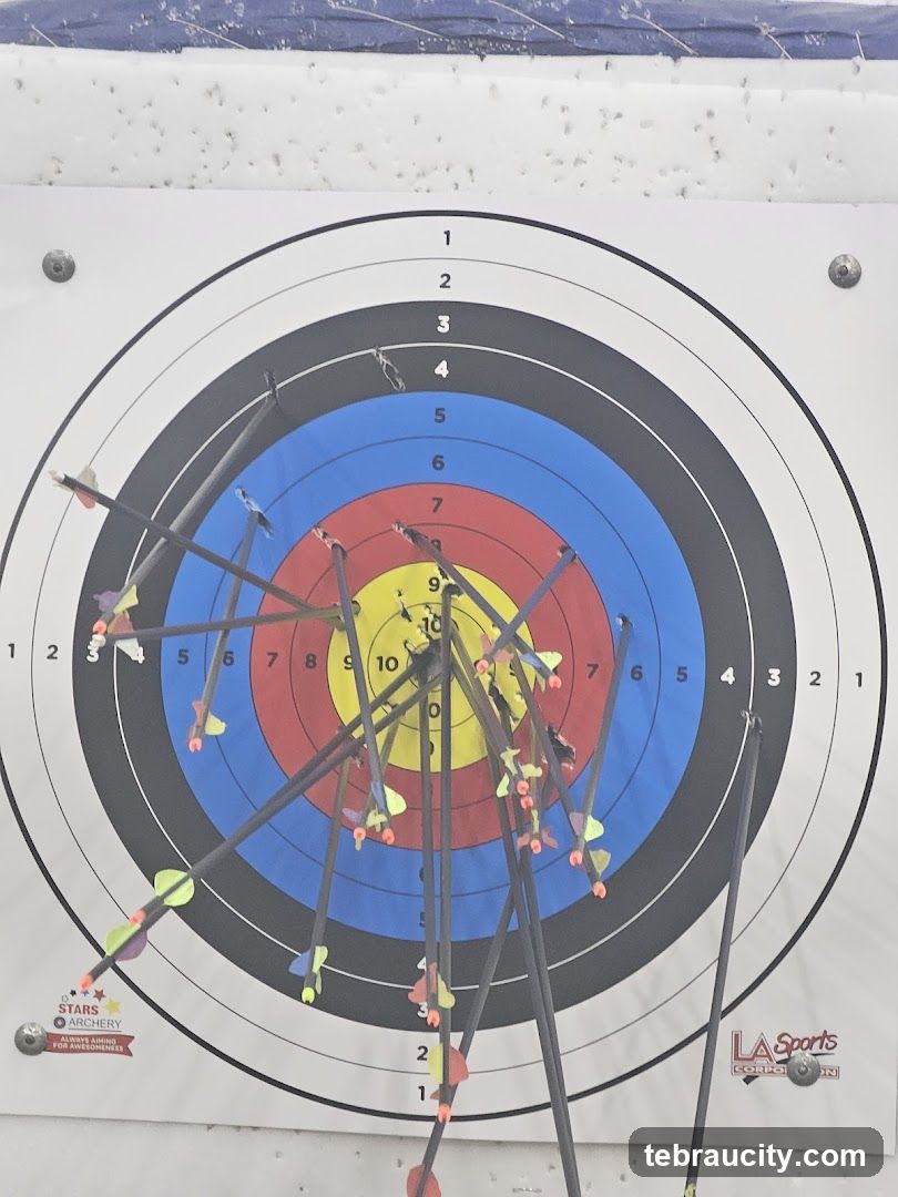 Archery Target with Arrows
