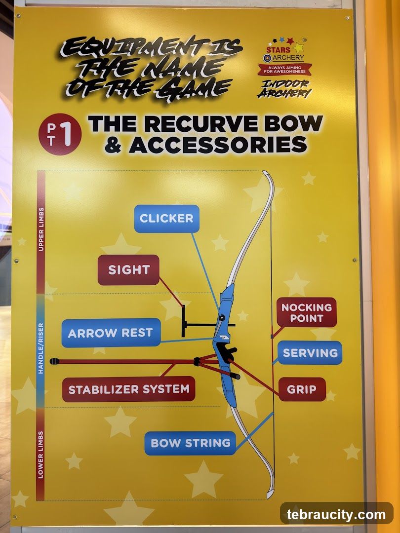 Recurve Bow and Accessories Diagram