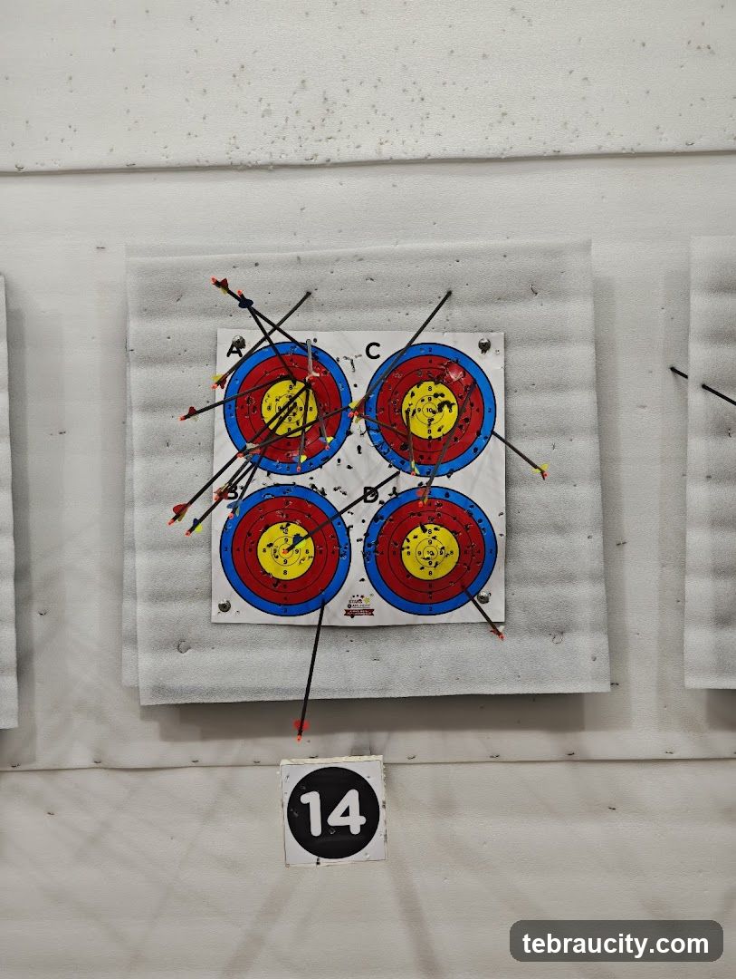 Archery Targets