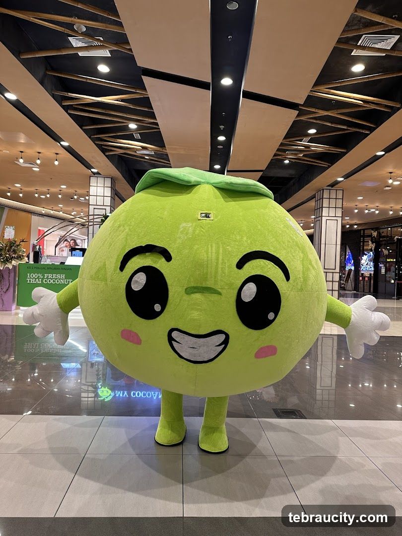 Coconut Mascot in Mall