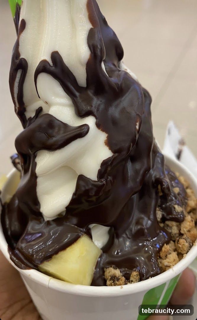 Frozen Yogurt with Chocolate Drizzle