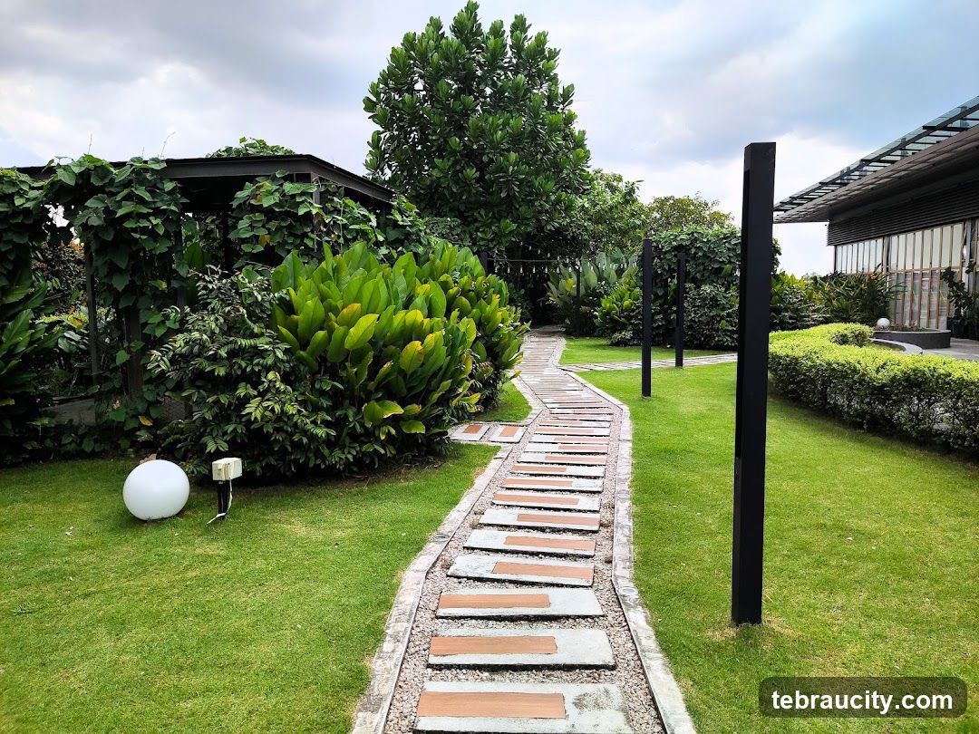 Garden Path with Lush Greenery