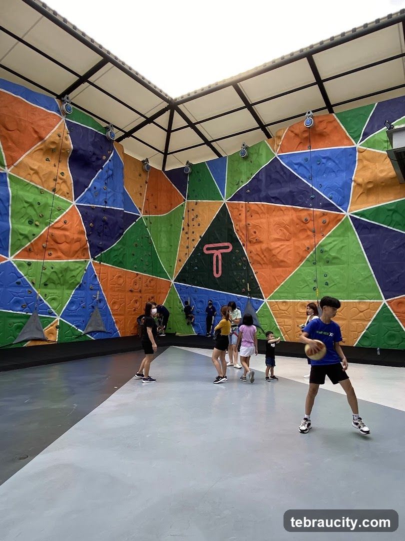 Indoor Climbing Wall