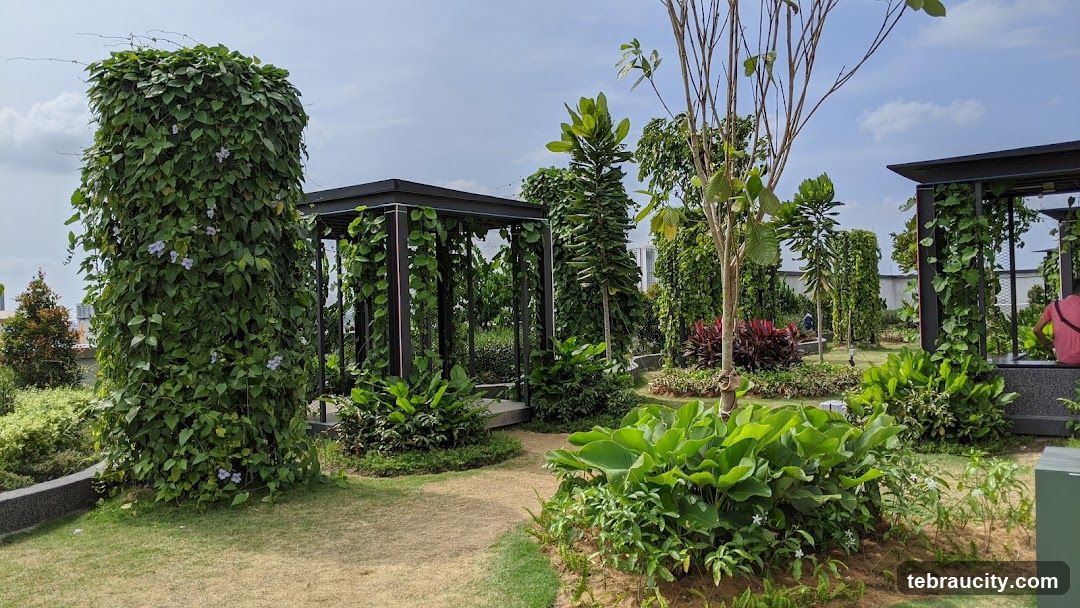 Rooftop Garden with Pergolas and Lush Vegetation