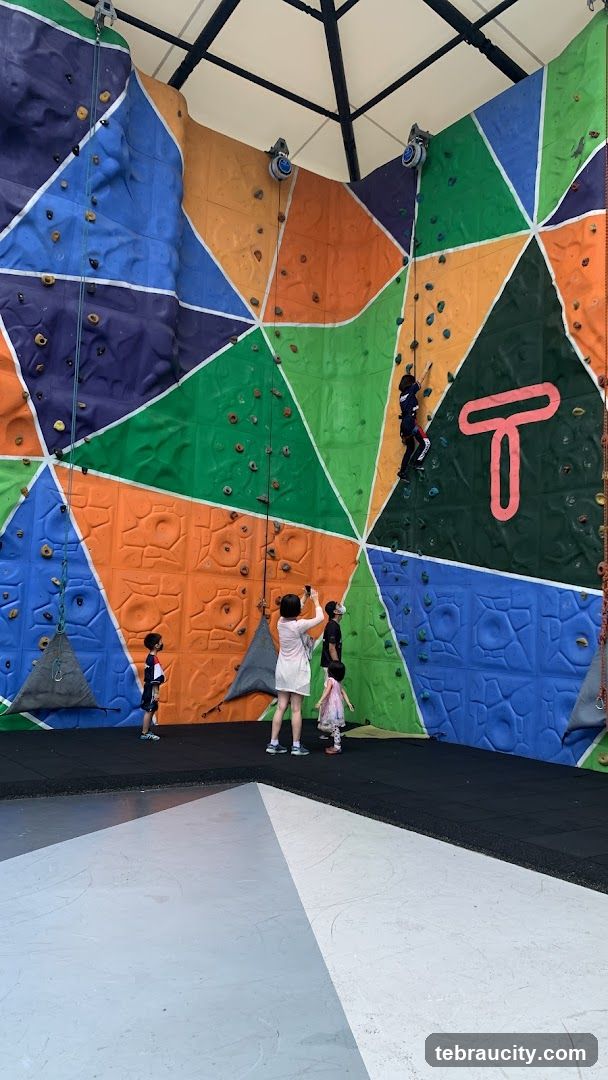 Indoor Climbing Wall