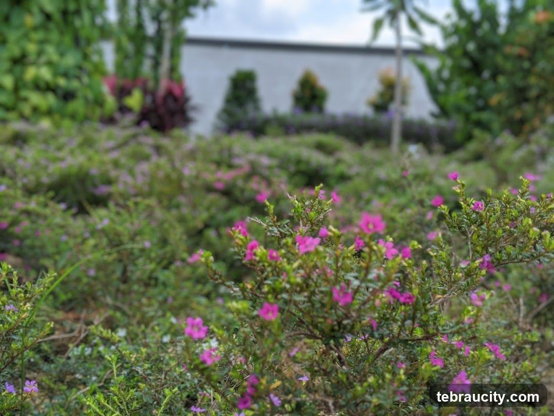 Lush Garden with Pink Flowers
