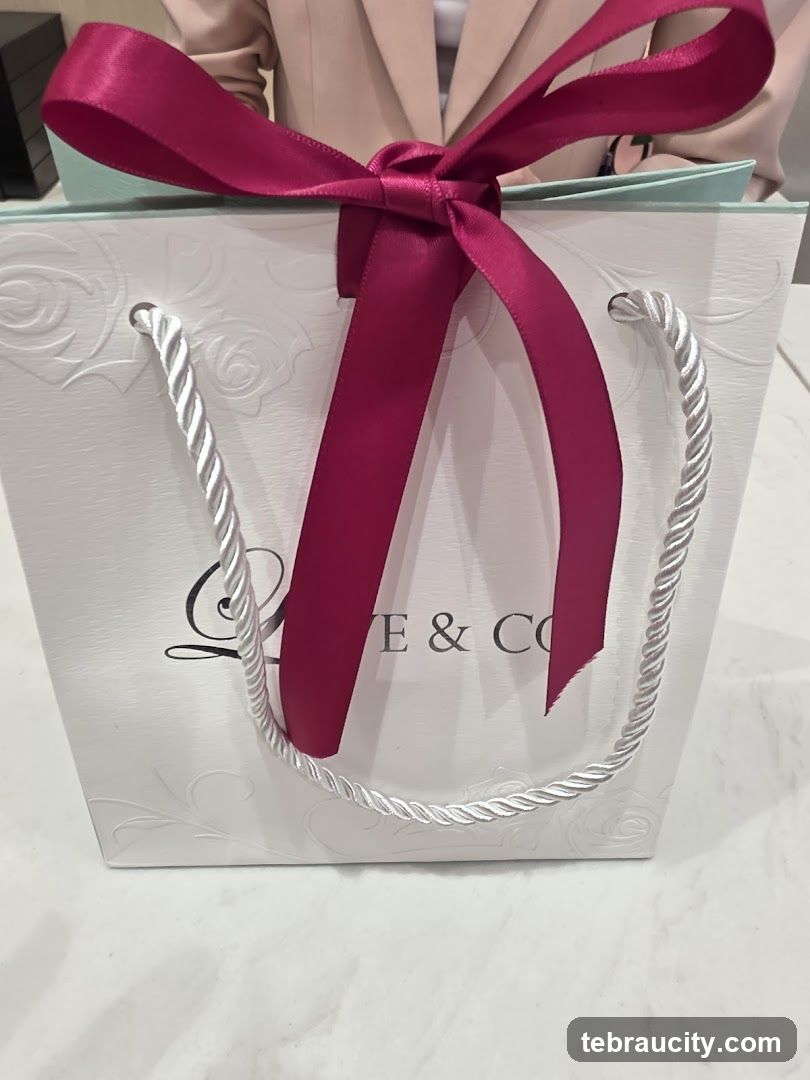 Gift Bag with Ribbon