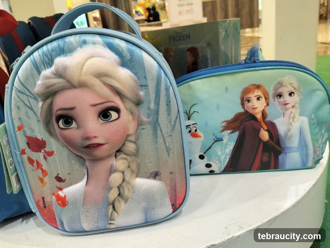 Frozen Backpacks