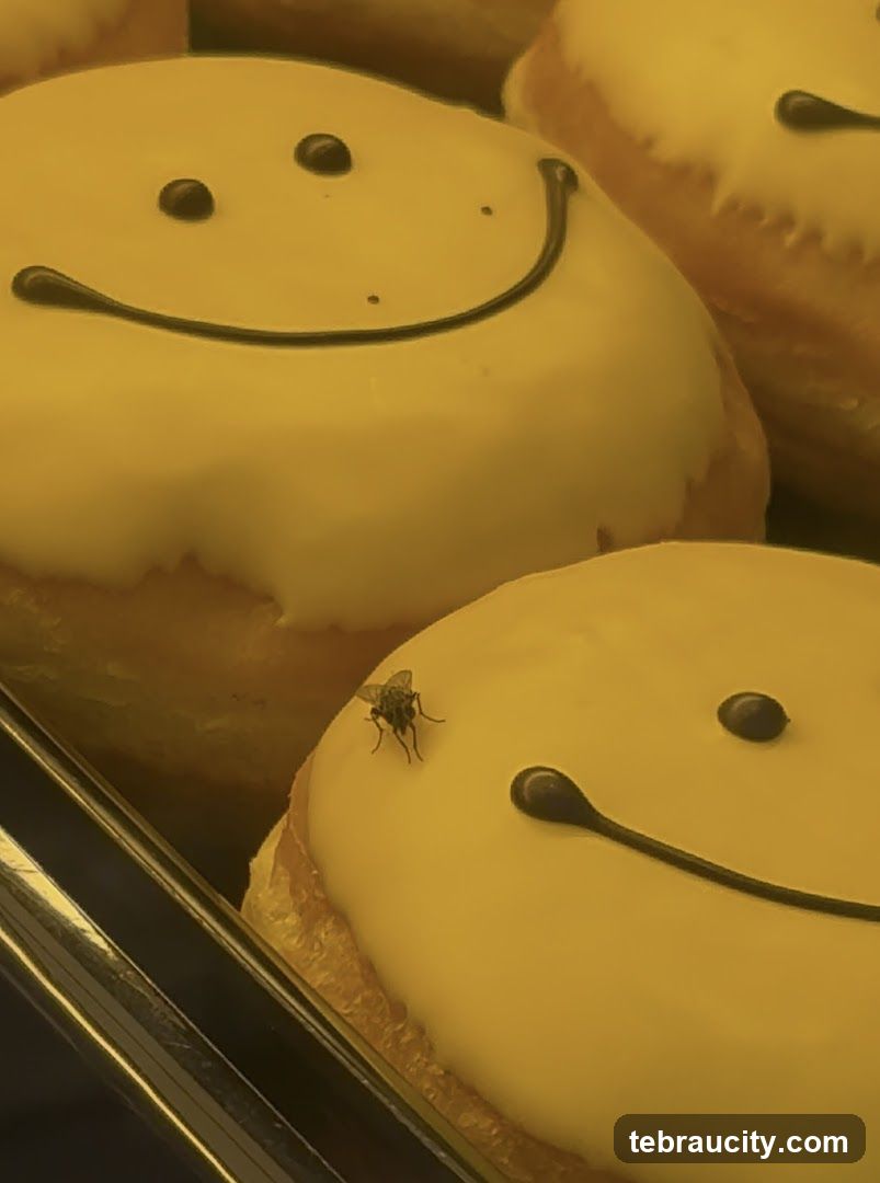 Smiley Face Donuts with a Fly