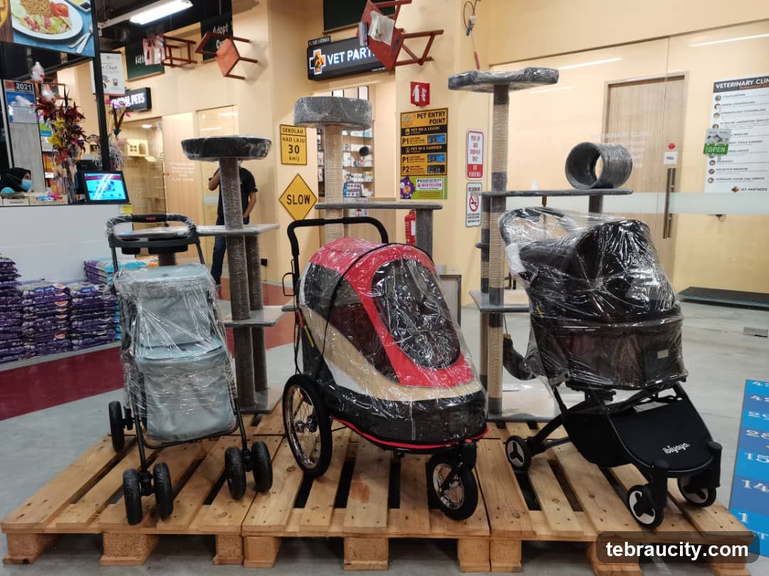 Pet Store Display