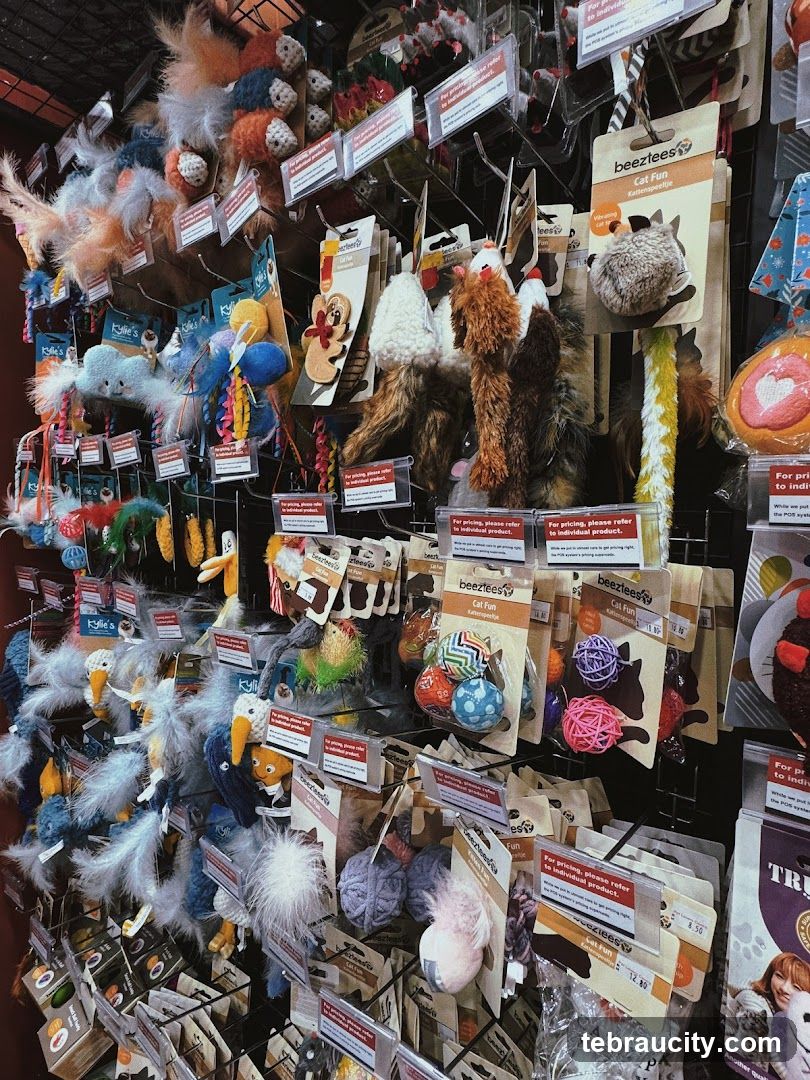Pet Toys Display