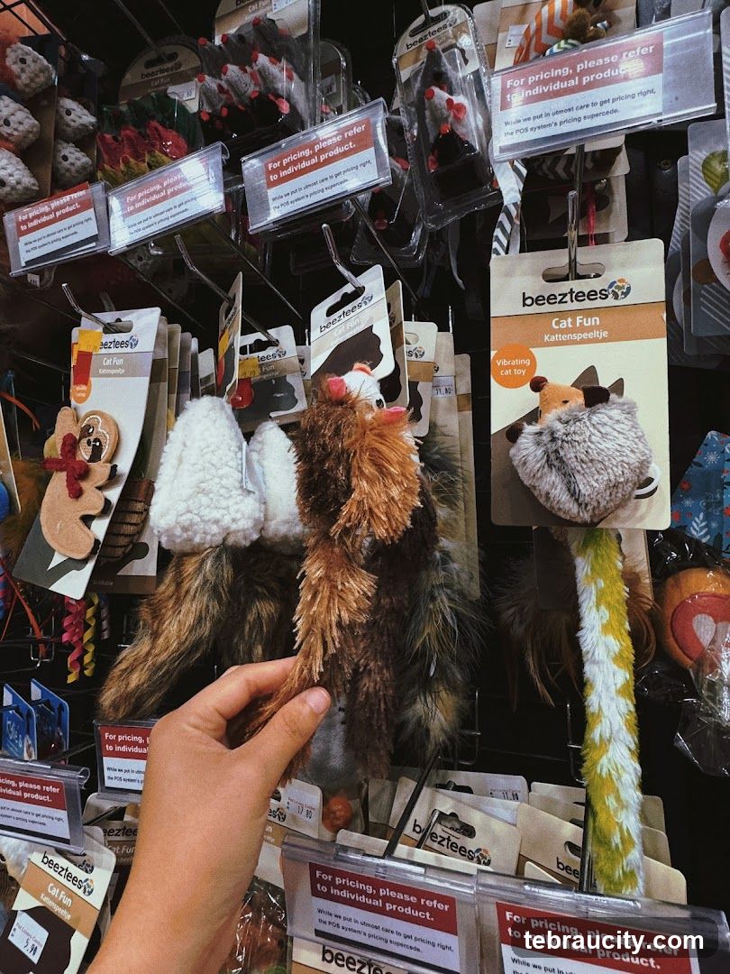Cat Toys