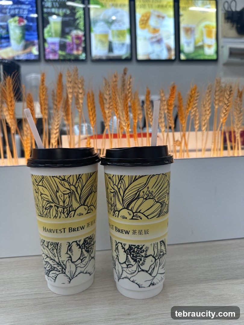 Two cups of Harvest Brew