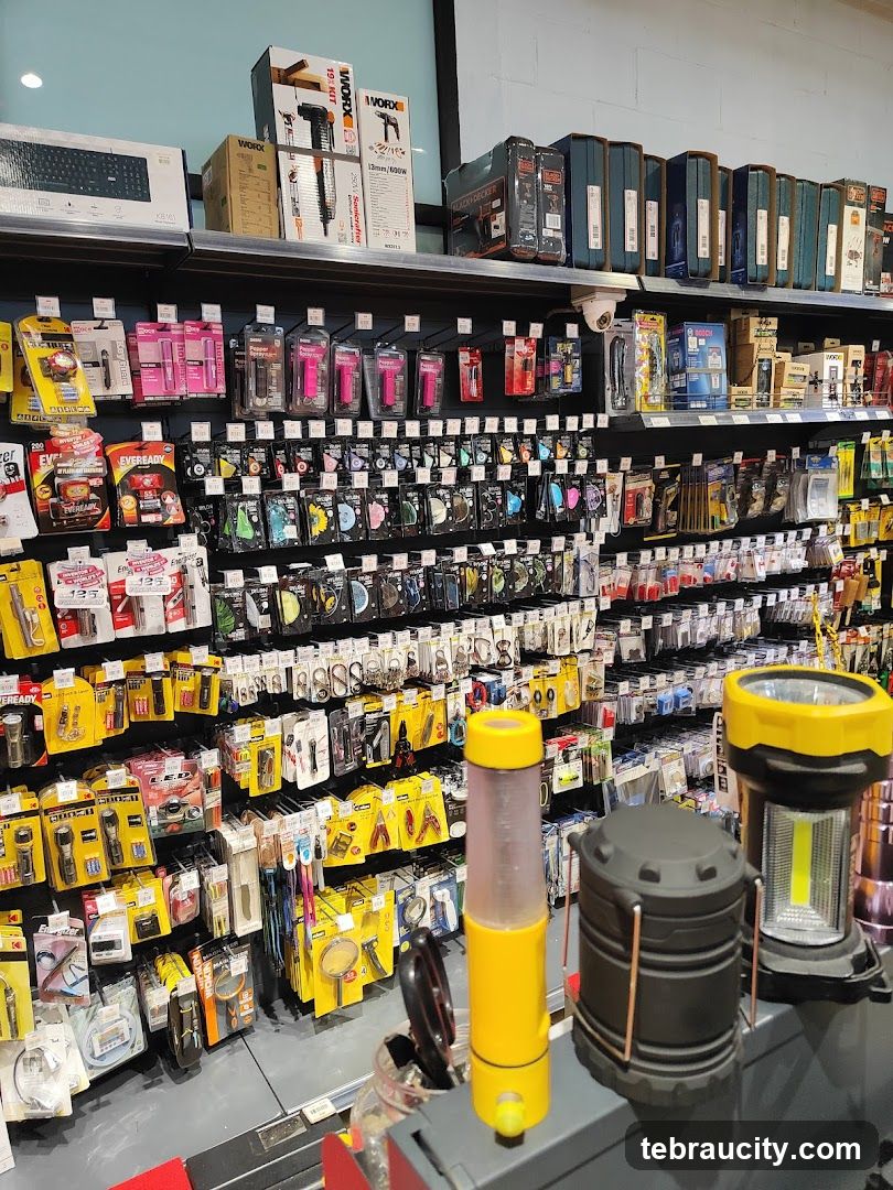Assortment of Tools and Accessories