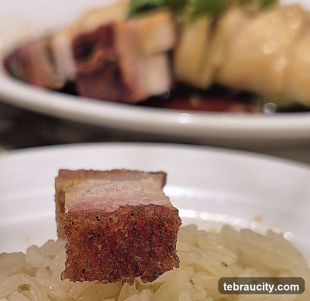 Crispy Pork Belly on Rice