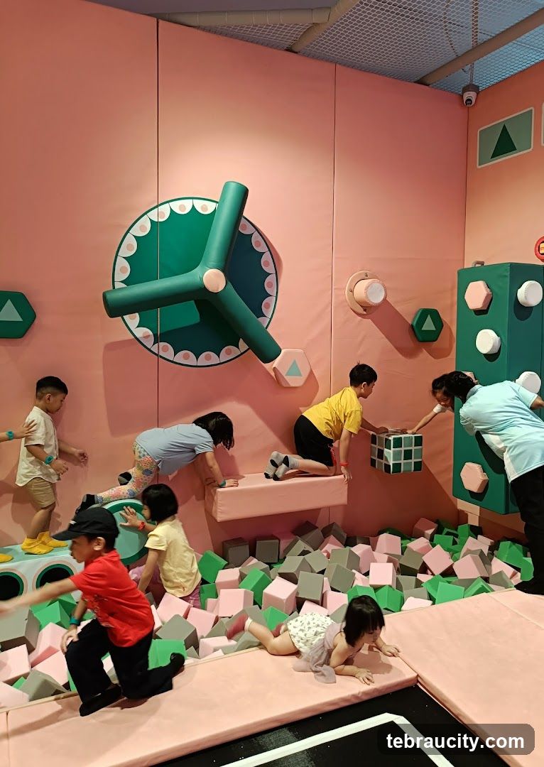 Star Kids Gym Indoor Playground
