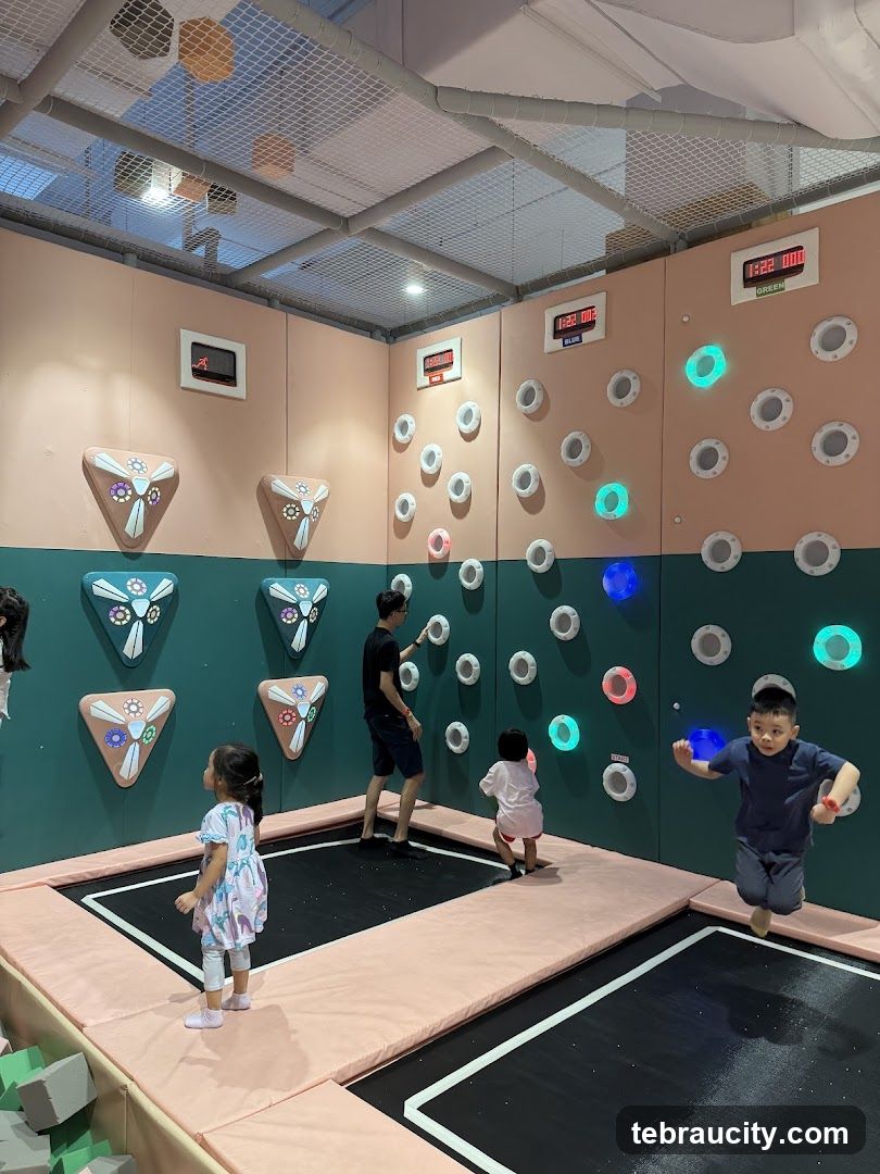 Indoor Playground with Trampolines and Climbing Wall