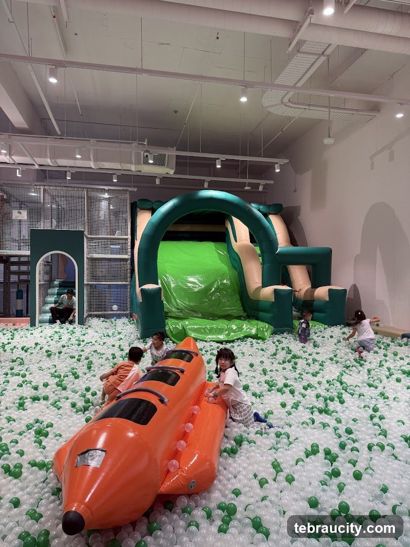 Indoor Playground with Ball Pit and Inflatable Slide