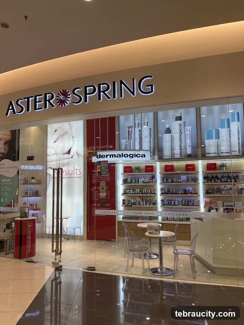 Aster Spring