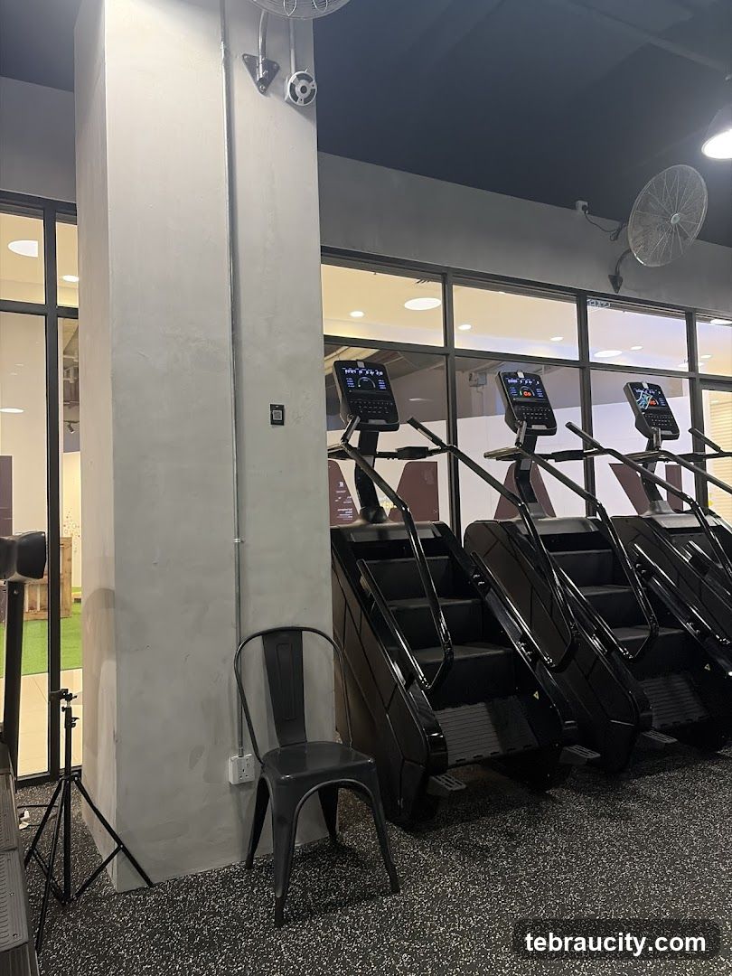 Gym Stair Climbers