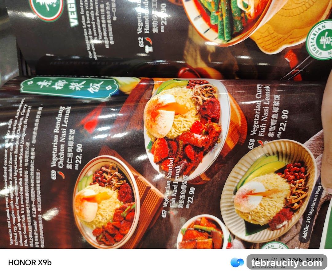 Vegetarian Menu