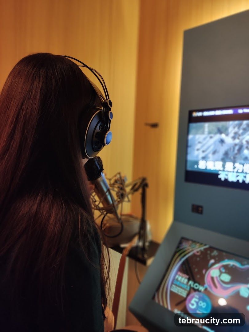 Karaoke Booth