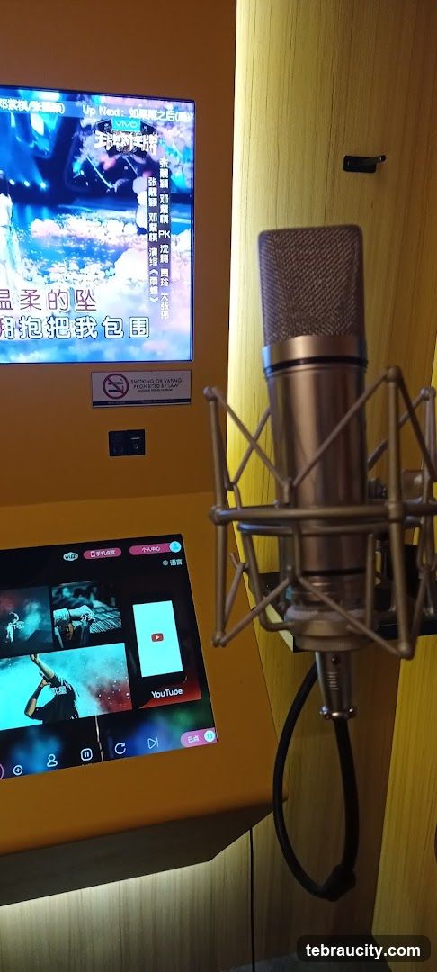 Karaoke Machine