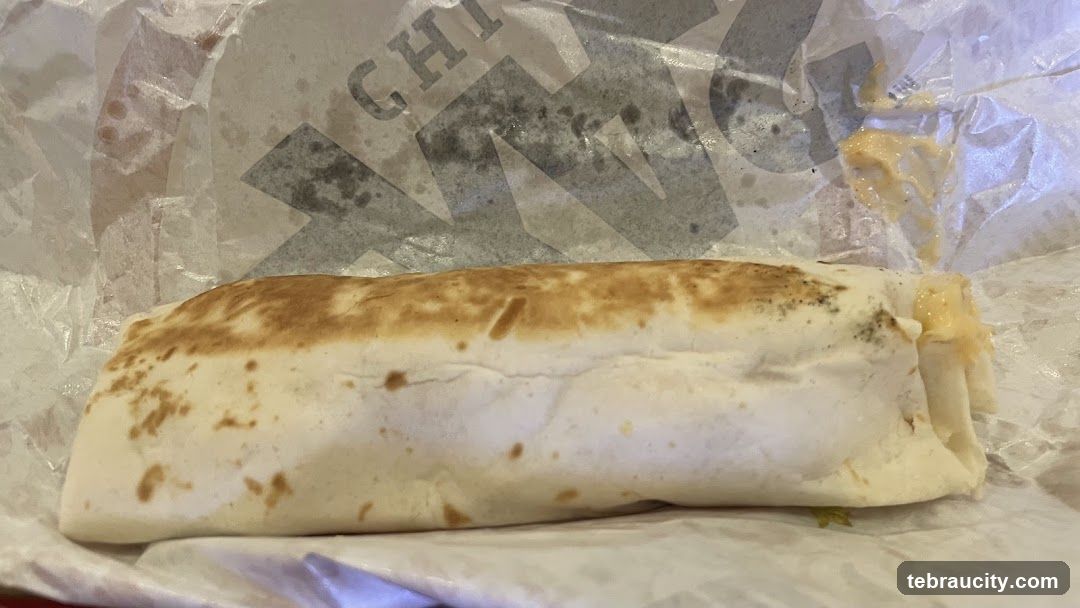 Burrito in Wrapper