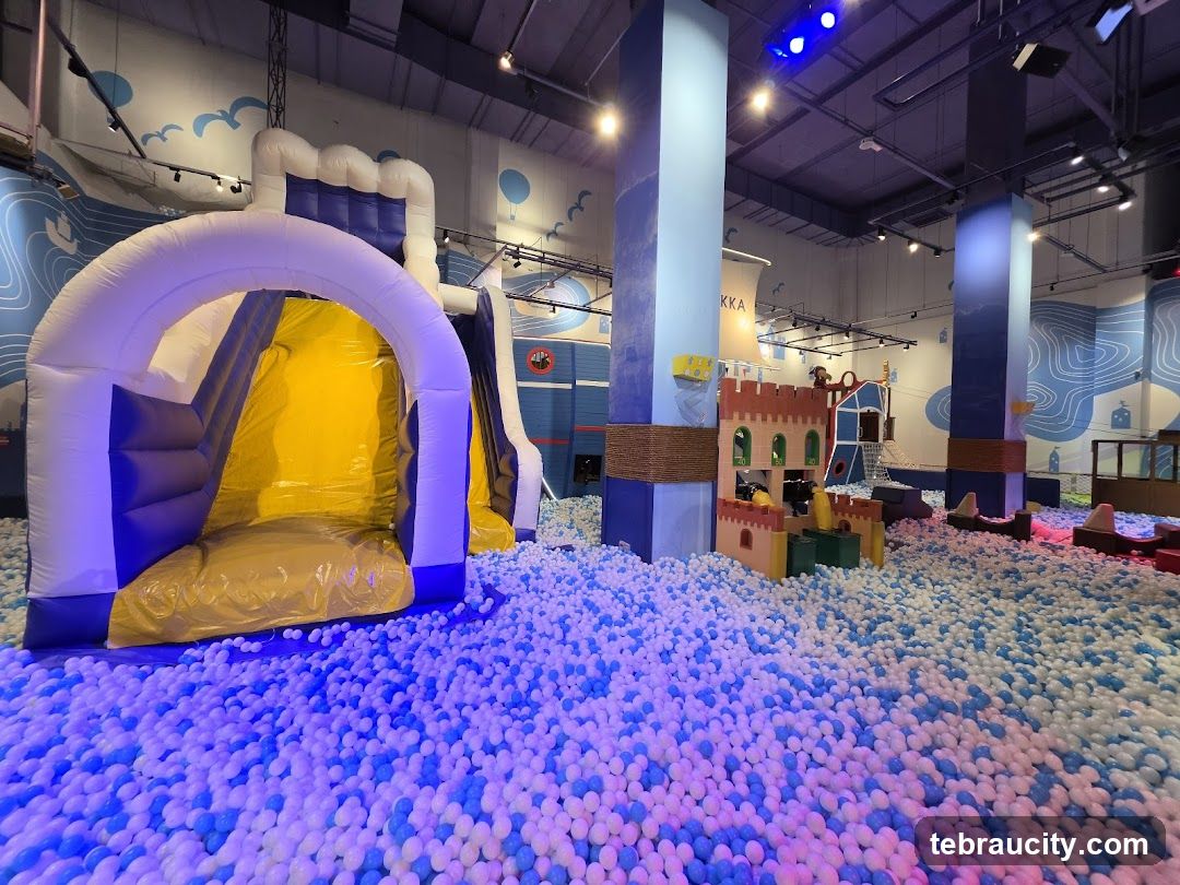 Indoor Playground with Ball Pit