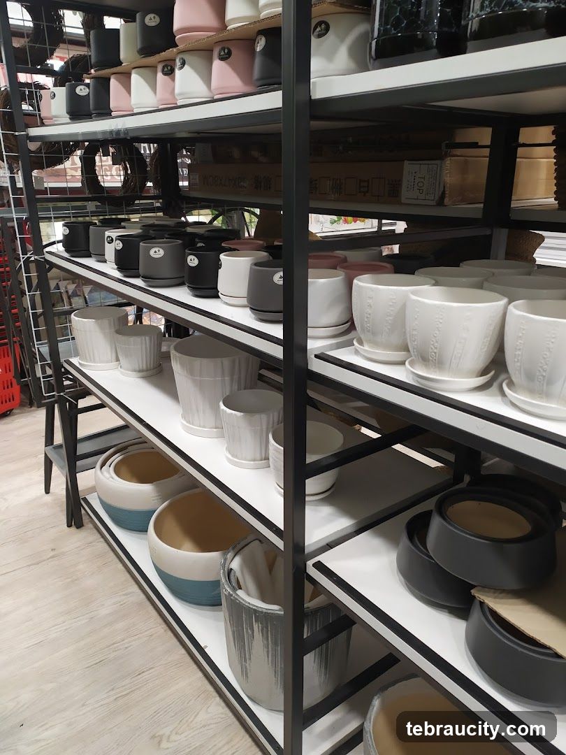 Shelves of ceramic pots