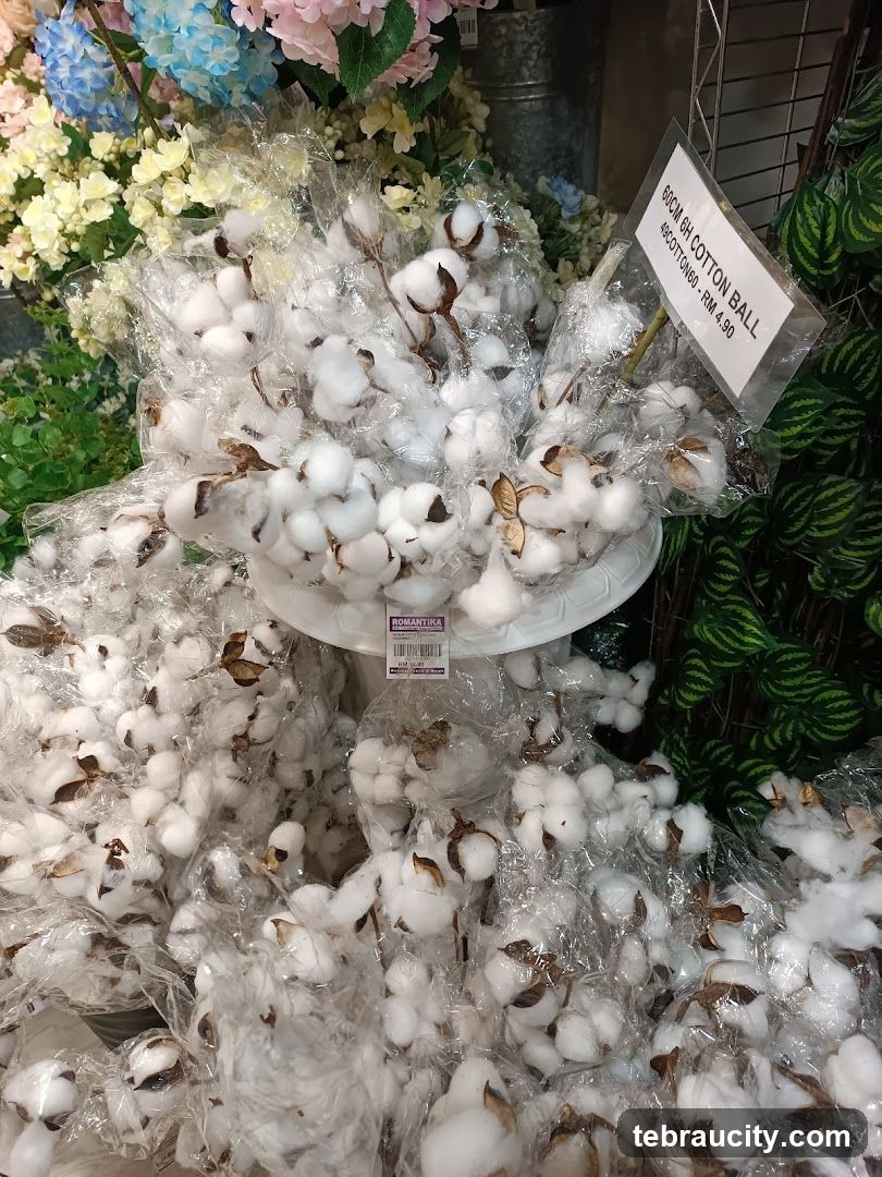 Cotton Balls