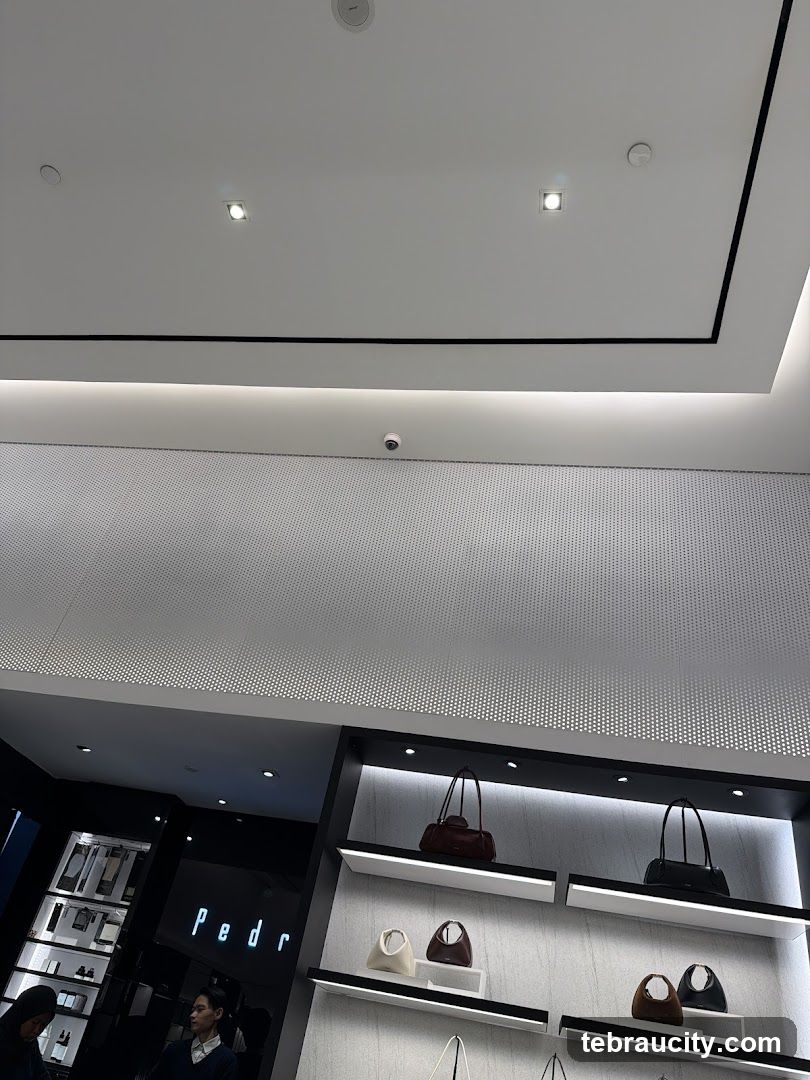 PEDRO Aeon Tebrau City