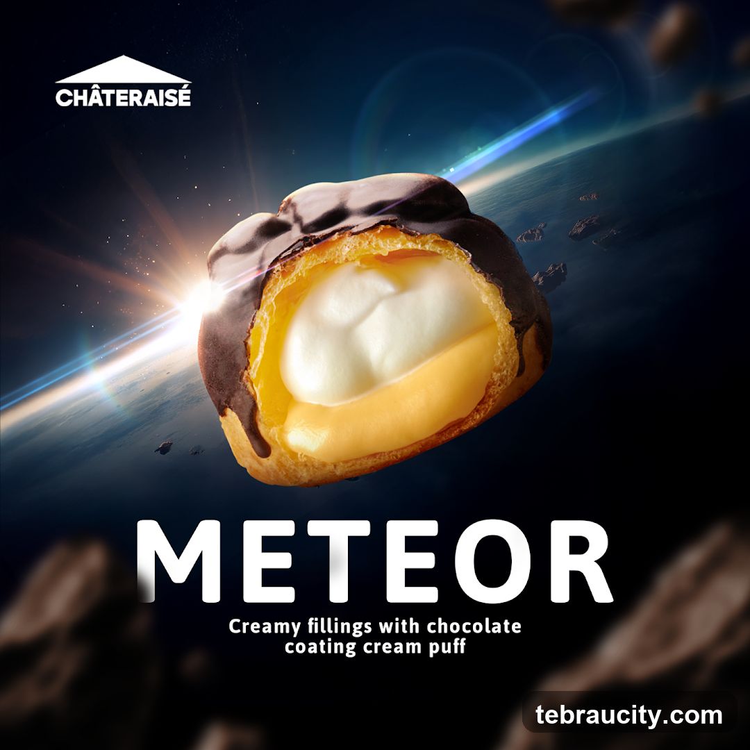 Chateraise Meteor Cream Puff