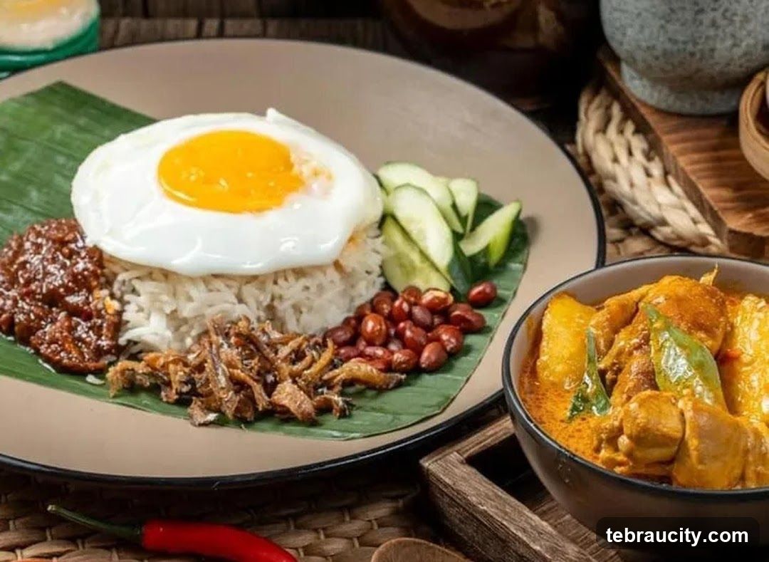 Nasi Lemak and Chicken Curry