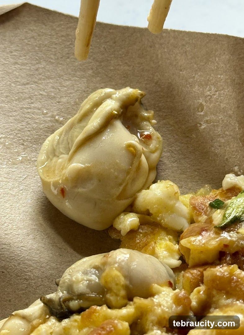 Oyster Omelet