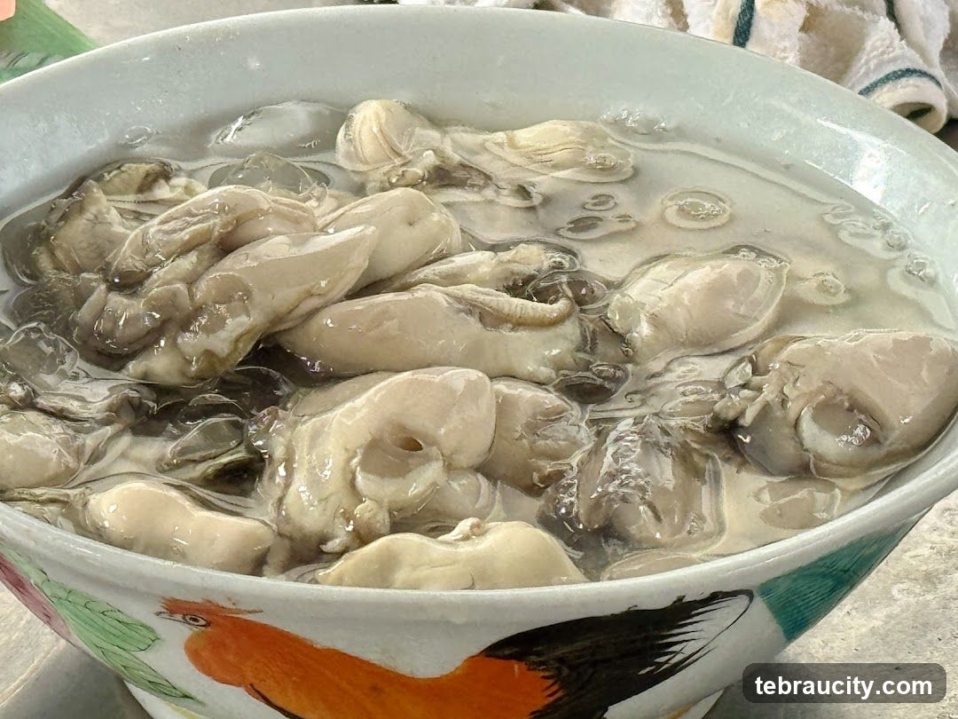 Oysters in a Bowl