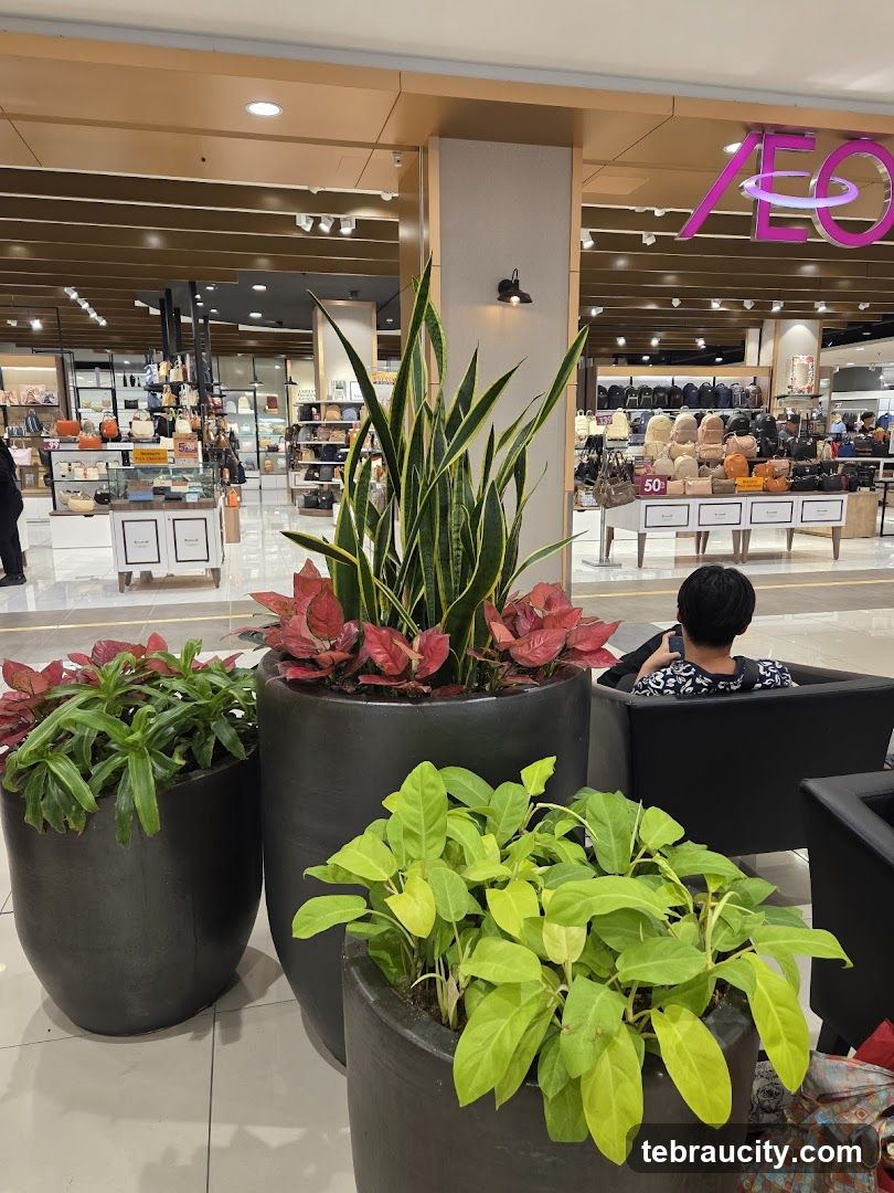 Interior of shopping mall