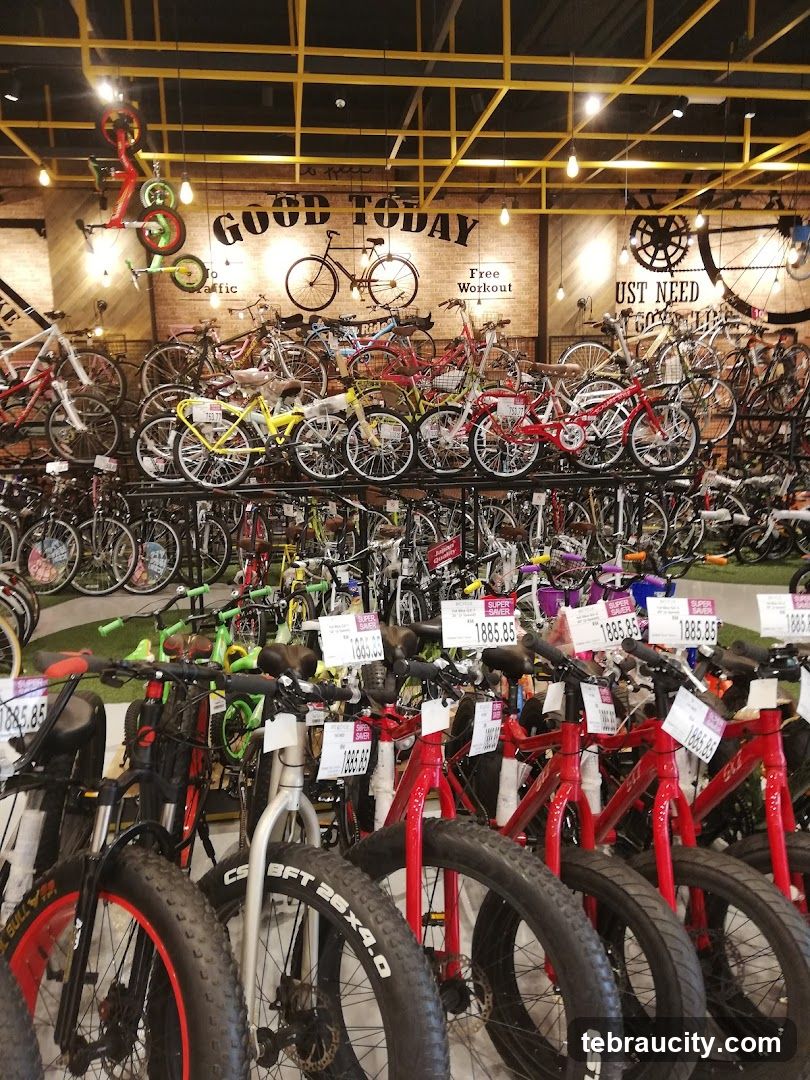 Bicycle Store Interior