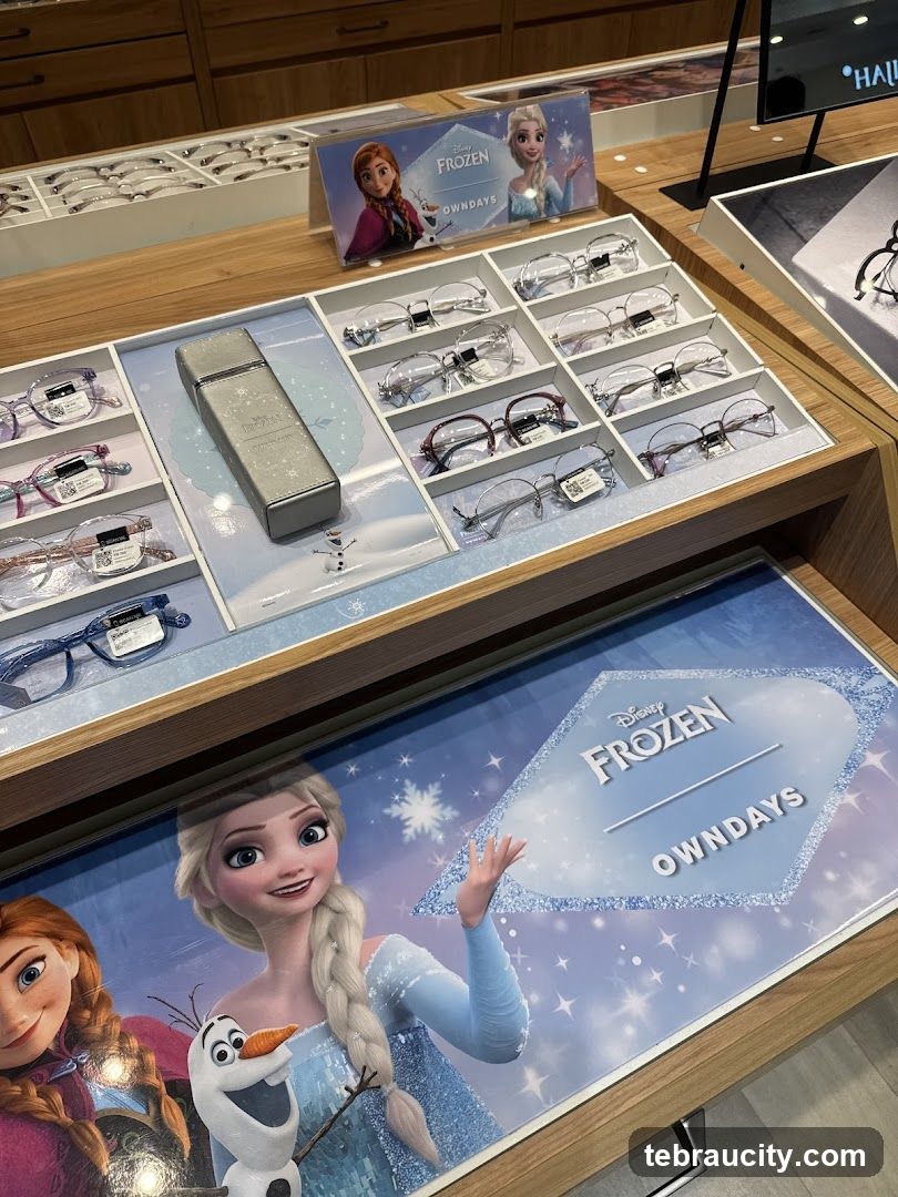 Disney Frozen Eyewear Display
