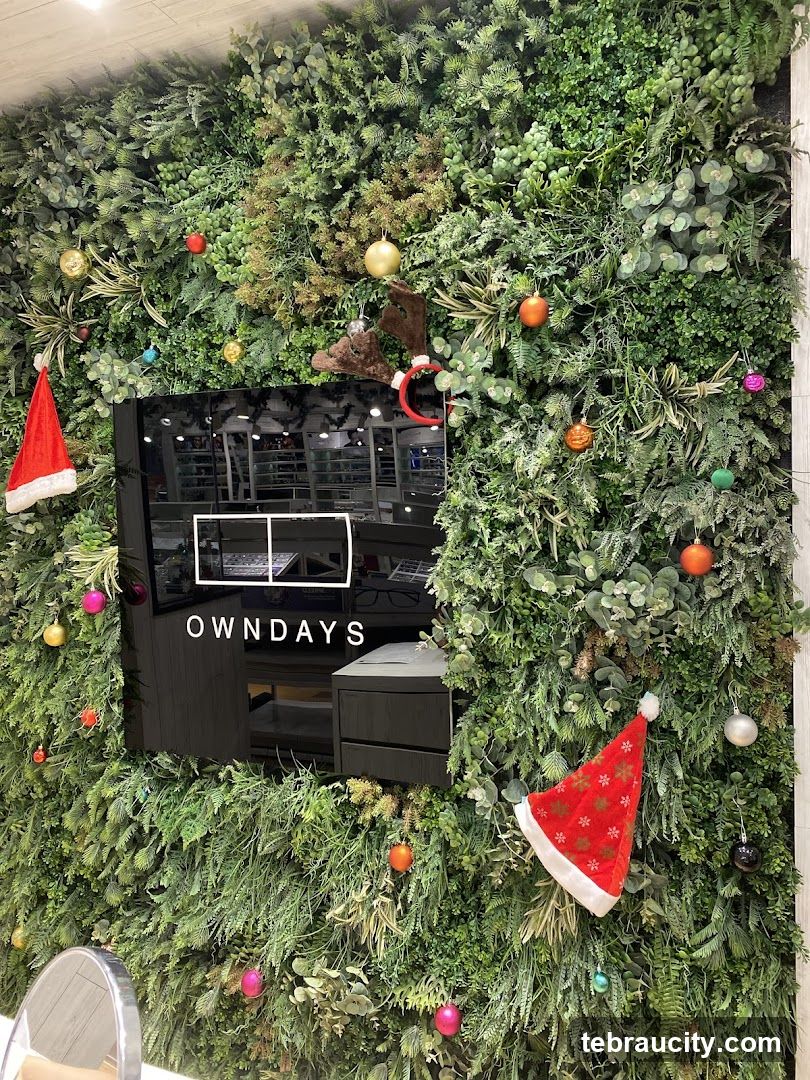 Green Wall with Christmas Decorations