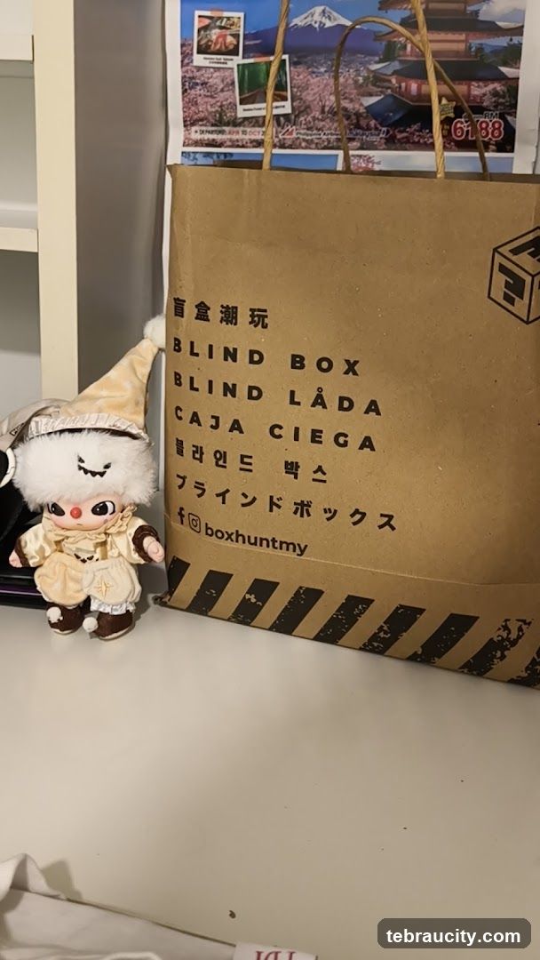 Blind Box Bag and Plush Toy