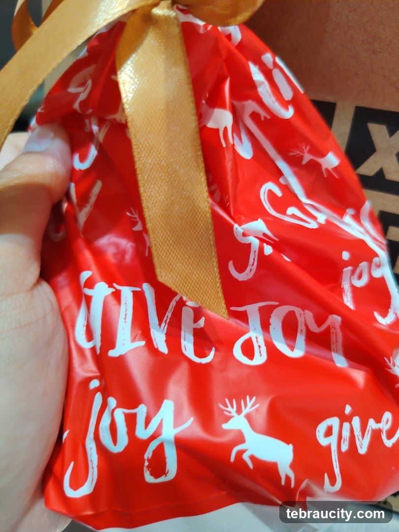 Christmas Gift Bag